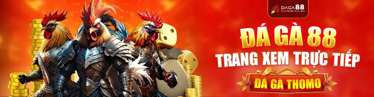 Đá gà trực tuyến kịch tính tại VF88